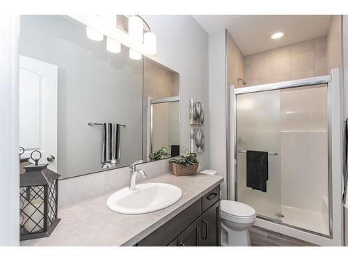 2 Traynor Close, Red Deer, AB - Indoor Photo Showing Bathroom