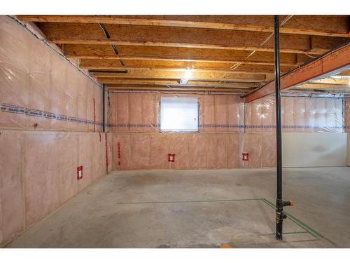 95 Dubois Crescent, Red Deer, AB - Indoor Photo Showing Basement