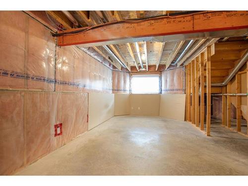 95 Dubois Crescent, Red Deer, AB - Indoor Photo Showing Basement