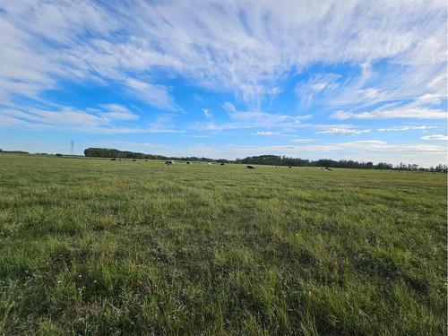 On Range Road 11, Rural Red Deer County, AB 