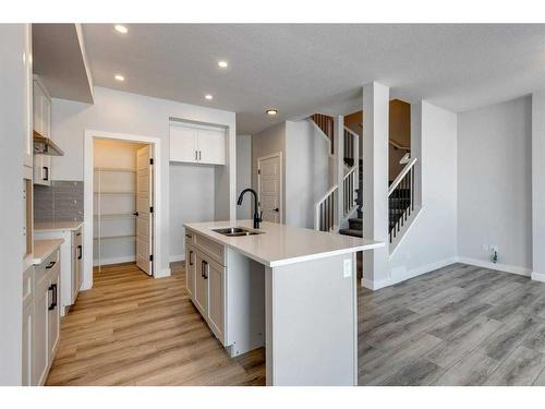 342 Sora Way Se, Calgary, AB - Indoor Photo Showing Kitchen With Double Sink With Upgraded Kitchen