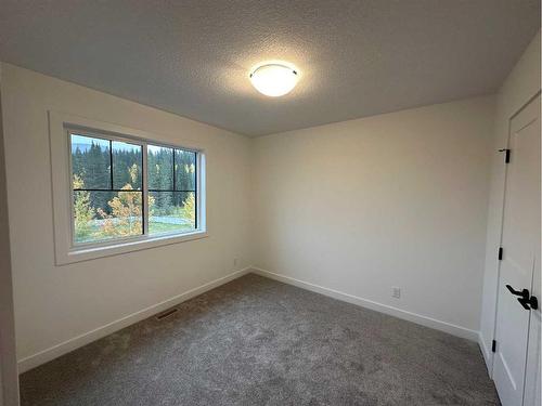 356 Elizabeth Avenue, Nordegg, AB - Indoor Photo Showing Other Room