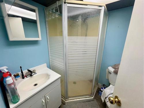 66 Sherwood Crescent, Red Deer, AB - Indoor Photo Showing Bathroom