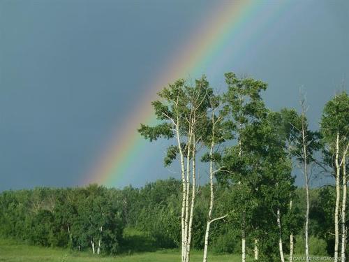 14-420069 Range Road 284, Rural Ponoka County, AB 