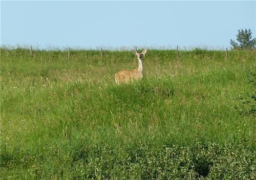 1-420069 Range Road 284, Rural Ponoka County, AB 