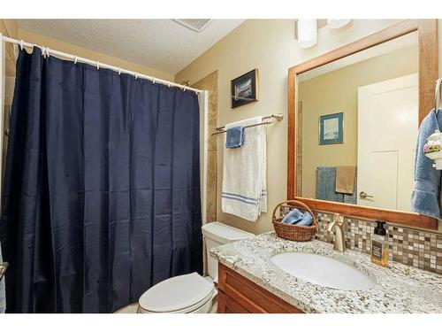 6071-25054 South Pine Lake Road, Rural Red Deer County, AB - Indoor Photo Showing Bathroom