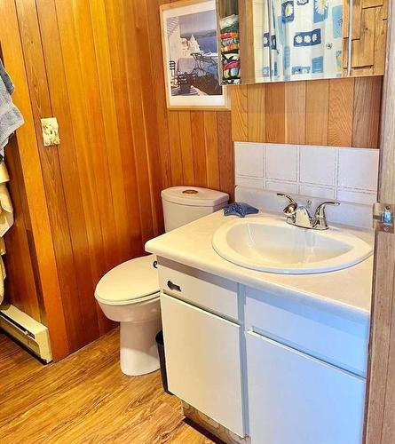 1309 Willow Road, Sunbreaker Cove, AB - Indoor Photo Showing Bathroom