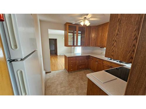 5506 50 Street, Castor, AB - Indoor Photo Showing Kitchen