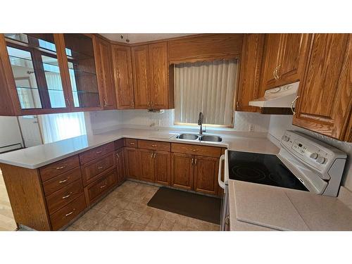 5506 50 Street, Castor, AB - Indoor Photo Showing Kitchen With Double Sink