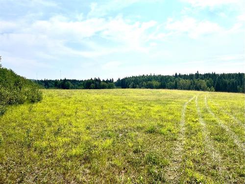 On Hwy 761, Rural Clearwater County, AB 