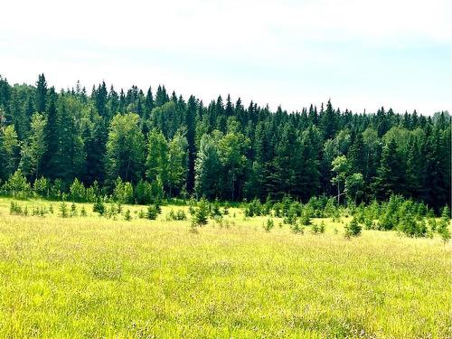 On Hwy 761, Rural Clearwater County, AB 