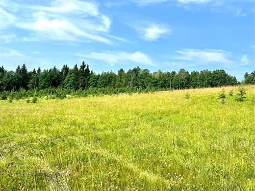 On Hwy 761, Rural Clearwater County, AB 