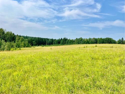 On Hwy 761, Rural Clearwater County, AB 