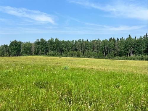 On Hwy 761, Rural Clearwater County, AB 