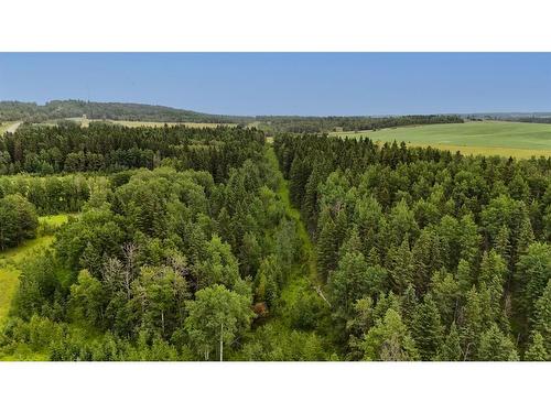 On Hwy 761, Rural Clearwater County, AB 