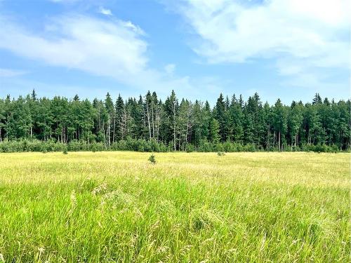 On Hwy 761, Rural Clearwater County, AB 