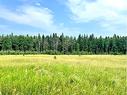 On Hwy 761, Rural Clearwater County, AB 