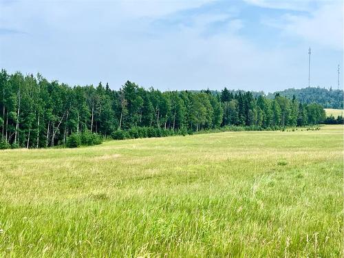 On Hwy 761, Rural Clearwater County, AB 