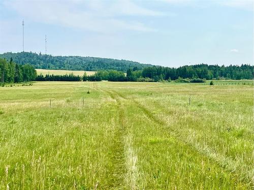 On Hwy 761, Rural Clearwater County, AB 