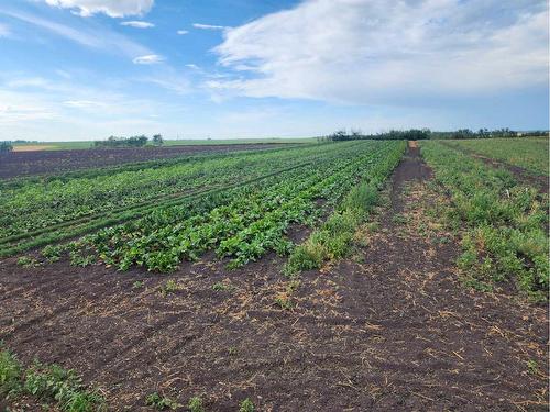 7501 C And E Trail, Innisfail, AB - Outdoor With View