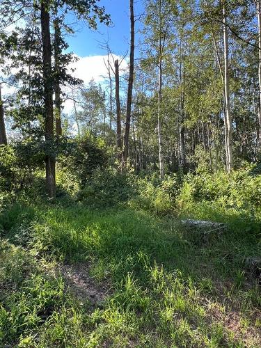 262053 Township Road 444, Rural Ponoka County, AB - Outdoor