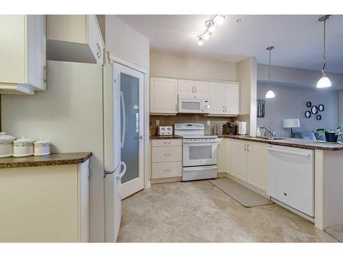 329-6 Michener Boulevard, Red Deer, AB - Indoor Photo Showing Kitchen