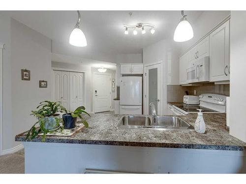 329-6 Michener Boulevard, Red Deer, AB - Indoor Photo Showing Kitchen With Double Sink