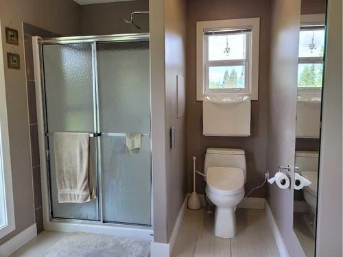 4528 Township Road 482, Rural Brazeau County, AB - Indoor Photo Showing Bathroom