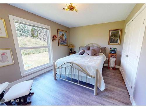 4528 Township Road 482, Rural Brazeau County, AB - Indoor Photo Showing Bedroom