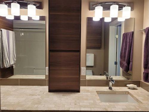 4528 Township Road 482, Rural Brazeau County, AB - Indoor Photo Showing Bathroom