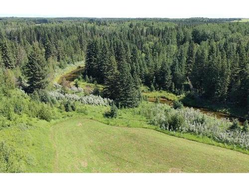 4528 Township Road 482, Rural Brazeau County, AB - Outdoor With View