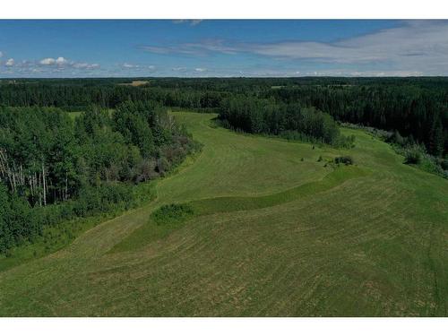 4528 Township Road 482, Rural Brazeau County, AB - Outdoor With View