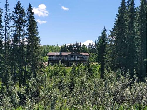 4528 Township Road 482, Rural Brazeau County, AB - Outdoor With View