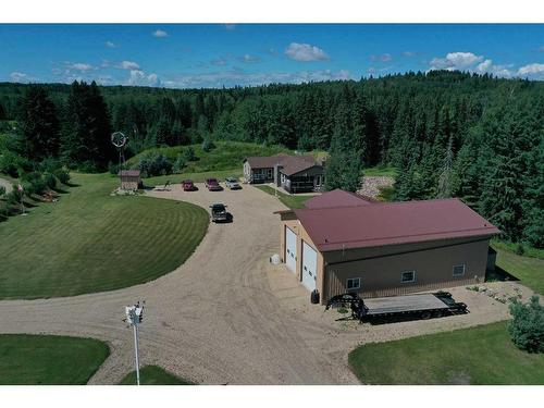 4528 Township Road 482, Rural Brazeau County, AB - Outdoor