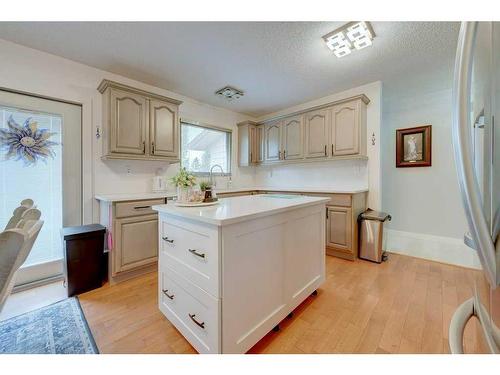 49 Chappel Drive, Red Deer, AB - Indoor Photo Showing Kitchen