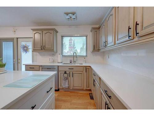 49 Chappel Drive, Red Deer, AB - Indoor Photo Showing Kitchen