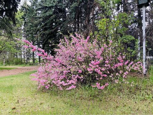 37550 C & E Trail, Rural Red Deer County, AB - Outdoor