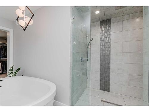 101 Lazaro Close, Red Deer, AB - Indoor Photo Showing Bathroom