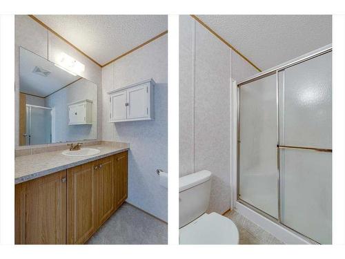 33073 Range Road 62, Rural Mountain View County, AB - Indoor Photo Showing Bathroom