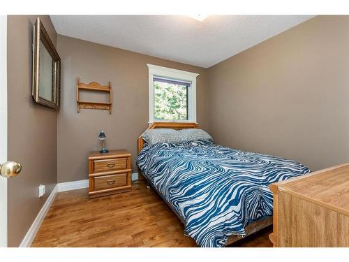 115-28342 Township Road, Rural Red Deer County, AB - Indoor Photo Showing Bedroom