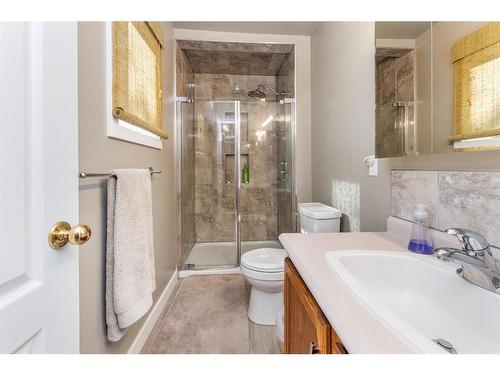 115-28342 Township Road, Rural Red Deer County, AB - Indoor Photo Showing Bathroom