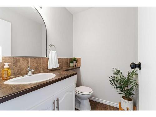 27007 Township Road 384, Rural Red Deer County, AB - Indoor Photo Showing Bathroom