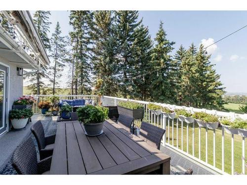 27007 Township Road 384, Rural Red Deer County, AB - Outdoor With Deck Patio Veranda