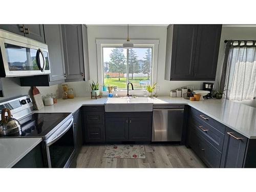 4905 Johnson Avenue, Lacombe, AB - Indoor Photo Showing Kitchen