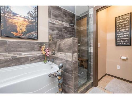 18-39026 Range Road 275, Rural Red Deer County, AB - Indoor Photo Showing Bathroom