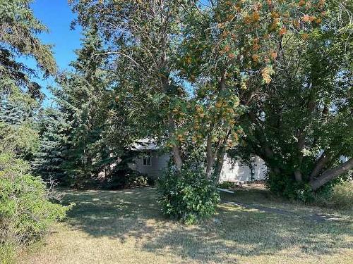 4614 49Th Street, Bashaw, AB - Outdoor