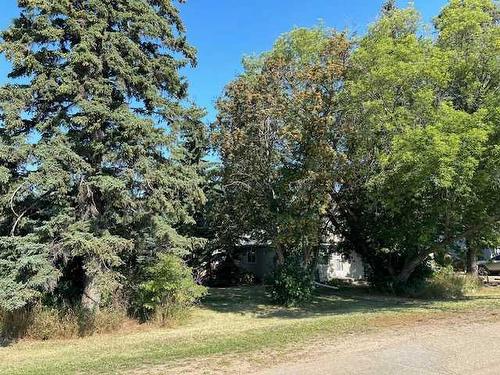 4614 49Th Street, Bashaw, AB - Outdoor