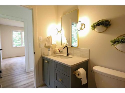 Meadow Ponds Drive, Rural Clearwater County, AB - Indoor Photo Showing Bathroom