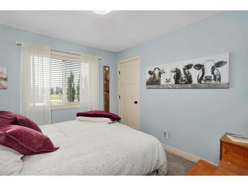 11 Henderson Close, Penhold, AB - Indoor Photo Showing Bedroom