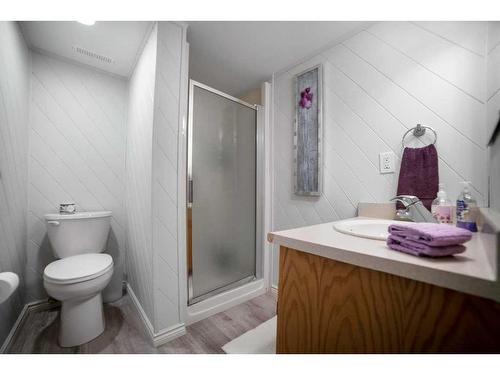 121 Bailey Avenue, Rural Camrose County, AB - Indoor Photo Showing Bathroom